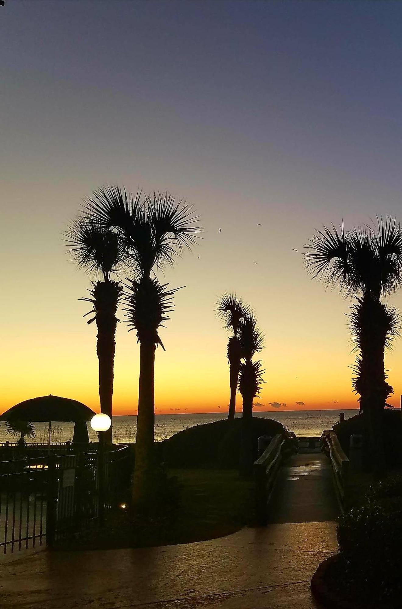 The Palms Resort-Oceanfront Myrtle Beach Buitenkant foto